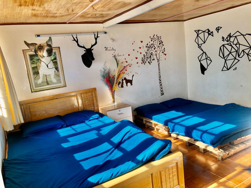 Tổ Chim homestay