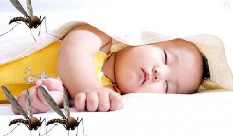 Kem Làm Dịu Và Trị Côn Trùng Đốt Bio Bio Baby làm lành vết côn trùng và vết muỗi đốt