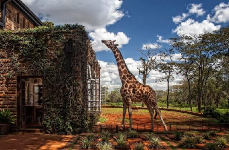 Khách sạn Giraffe Manor - Kenya