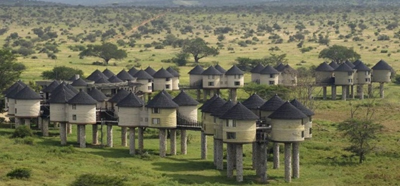 Khách sạn Sarova Saltlick Game Lodge - Kenya