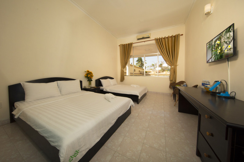 View khách sạn đồi dừa