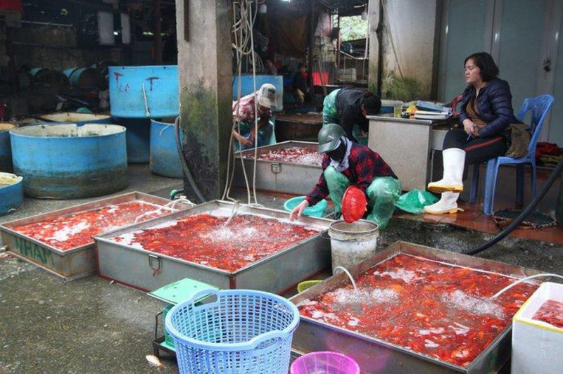 Chợ cá Yên Sở