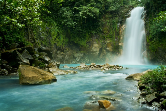 Rừng Monteverde được ví như một viên ngọc quý màu xanh lục