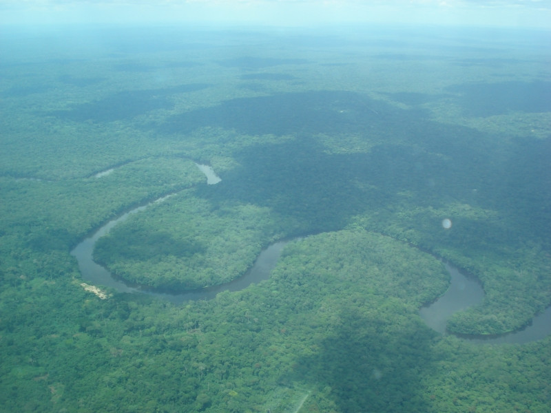 Rừng Congo bao bọc sông Congo uốn lượn