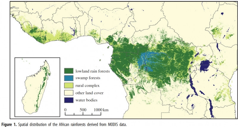 Vị trí rừng Congo (phần màu xanh)