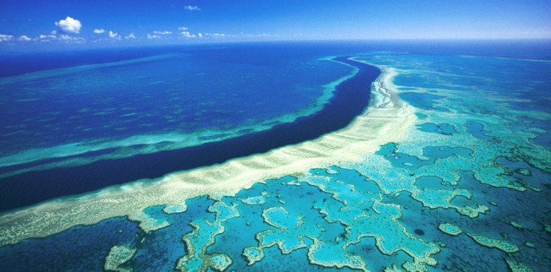 Rạn san hô Great Barrier nằm ở Úc là hệ thống đá ngầm san hô lớn nhất thế giới