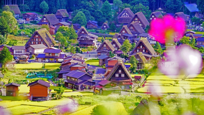 Vẻ đẹp hiền hòa của làng cổ Shikarawa - go Nhật Bản