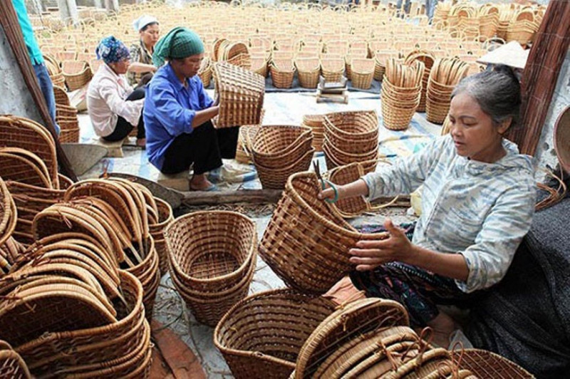 Tre trúc Thu Hồng