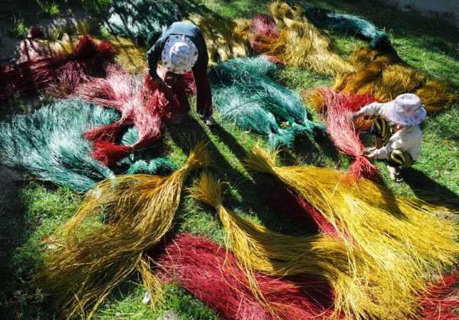 Những sợi cói được nhuộm màu và phơi trước khi đan