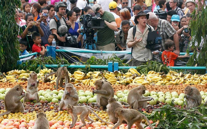 Lễ hội buffet dành cho khỉ ở tỉnh Lopburi (Thái Lan)