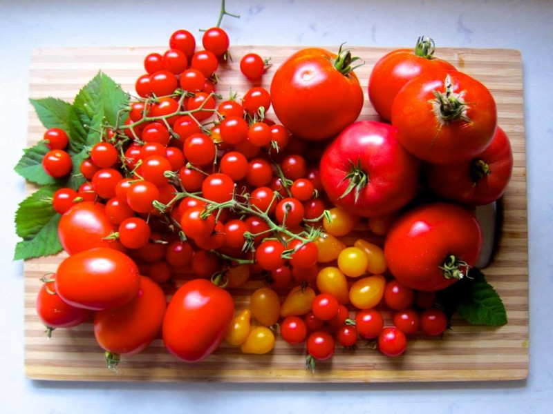 Cà chua chứa lycopen bảo vệ võng mạc cho mắt