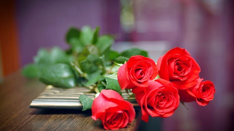 Hoa hồng đỏ là biểu tượng của tình yêu chân thành