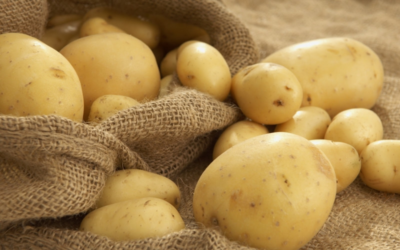 Bên trong khoai tây chứa nhiều tinh bột giúp làm trắng da nhanh chóng.