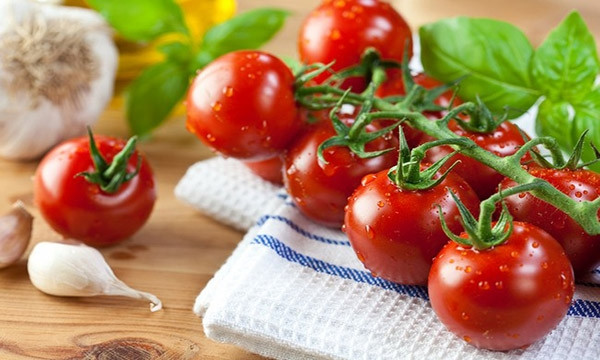Cà chua giúp chống lại quá trình lão hóa da và rất hữu ích trong việc điều trị ung thư và bệnh tim mạch