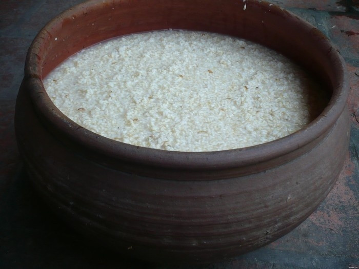 Lu gạo nếp đang được lên men rượu dùng cho mùa lễ Tết