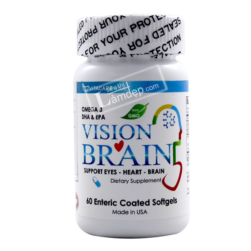 Vision Brain
