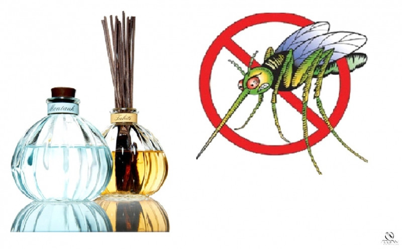 Sử dụng thuốc chống côn trùng để bảo vệ bản thân và gia đình