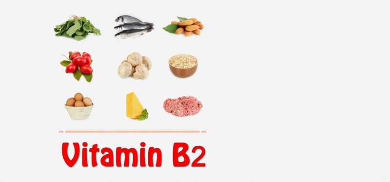 Nhóm thực phẩm chứa Vitamin B2