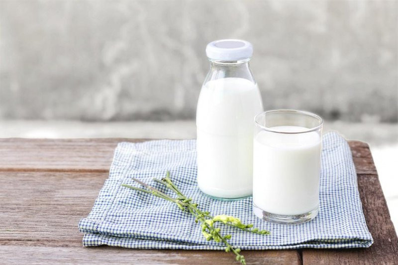 Sữa có tính năng thanh lọc cơ thể