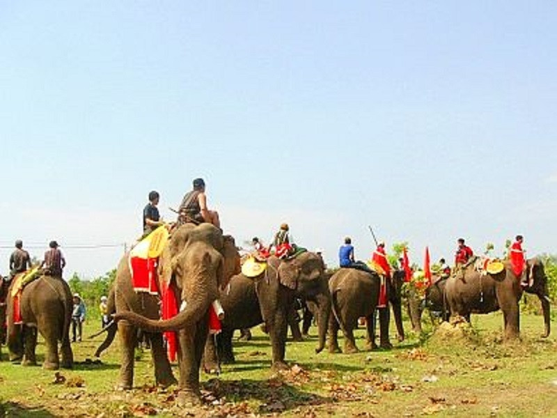 Lễ hội đua voi