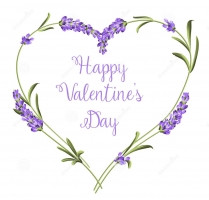 ly-do-nen-tang-lavender-hoa-oai-huong-vao-ngay-valentine