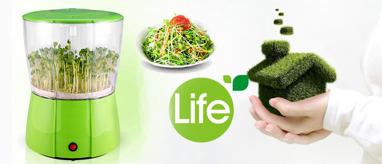 Máy trồng rau mầm GreenLife GL611