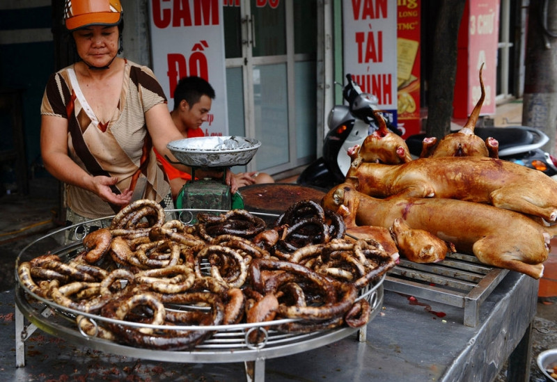 Thịt chó là món ăn được yêu thích hàng đầu trên bàn nhậu người Việt