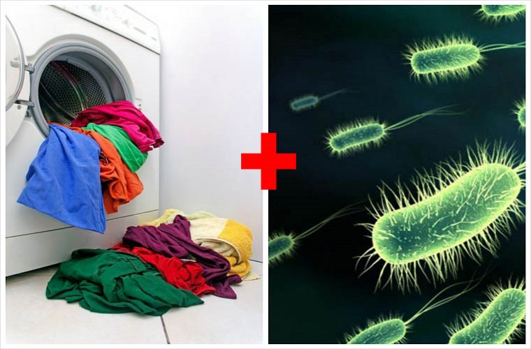 Máy giặt ẩm ướt là nơi sinh sản hoàn hảo cho vi khuẩn.
