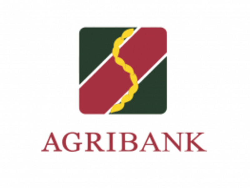 Agribank là ngân hàng thương mại lớn nhất Việt Nam tính theo tổng khối lượng tài sản, thuộc loại doanh nghiệp nhà nước hạng đặc biệt.