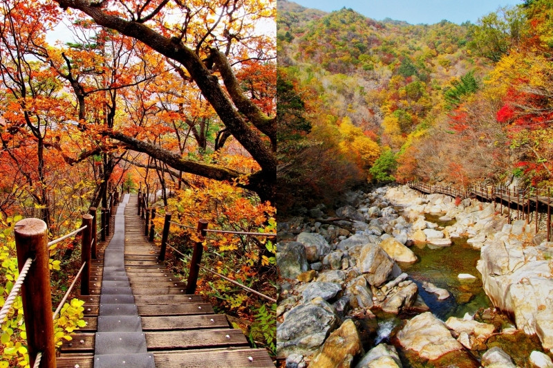 Mùa thu trên ngọn núi Seoraksan