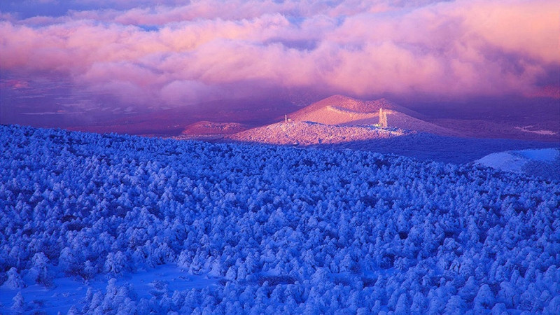 Núi Hanllasan bao phủ một màu tuyết trắng mùa đông