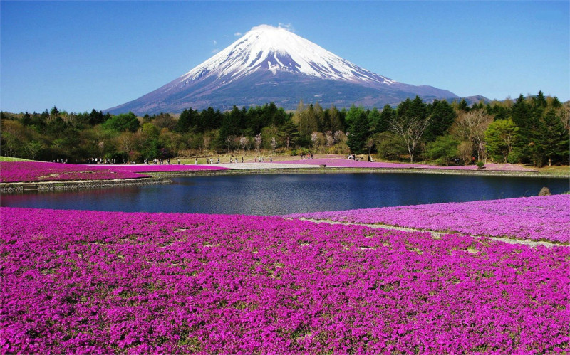 Núi Phú Sĩ ở Nhật Bản