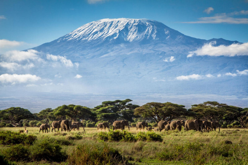 Núi Kilimanjaro ở Tanzania