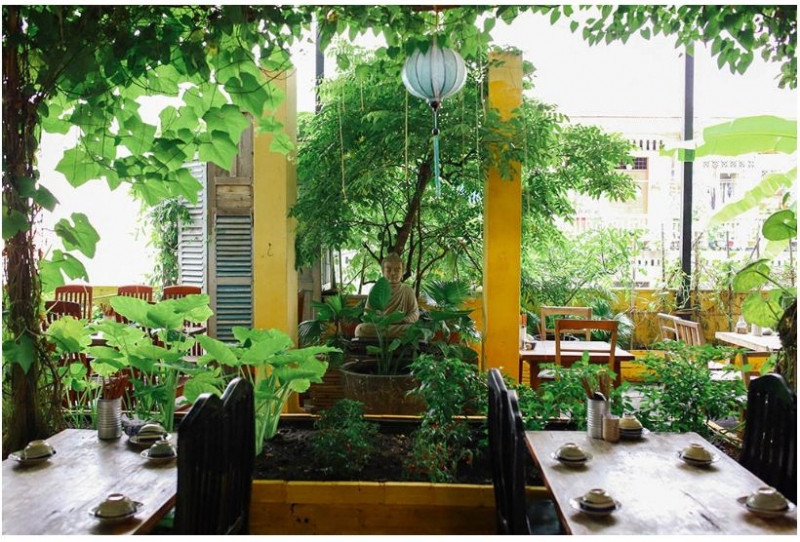 “Khu vườn bí mật” giữa lòng Sài thành với rất nhiều loại cây leo xanh mát