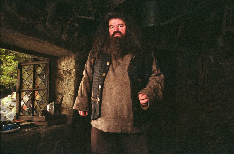 Bác Hagrid