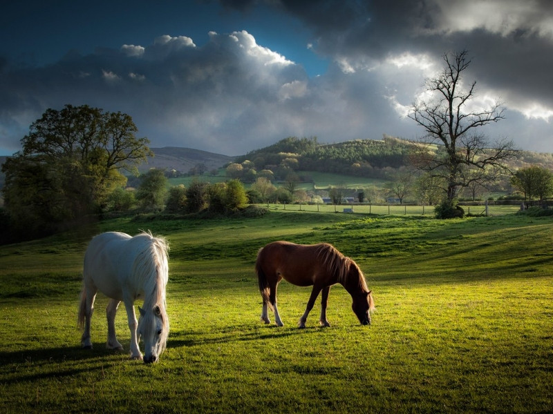 Vườn Quốc Gia Brecon Beacons.