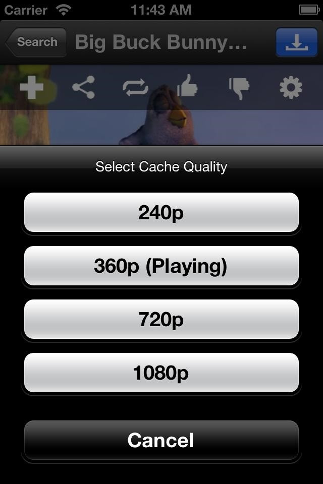Người dùng có thể lựa chọn chất lượng của video trước khi tải.