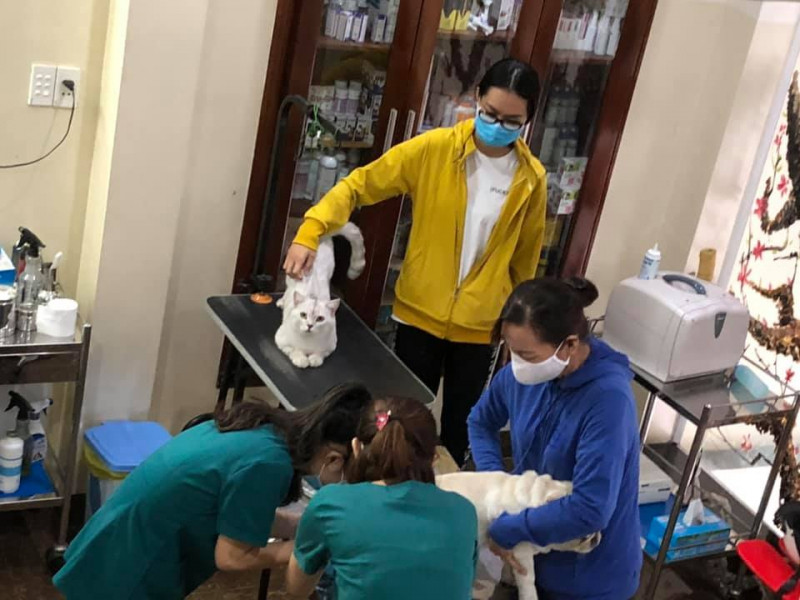 Phòng khám thú y Saigon Veterinary Clinic