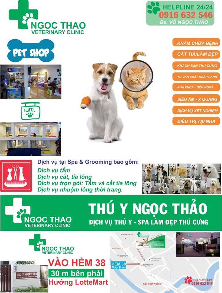 Dịch Vụ Thú Y Ngọc Thảo