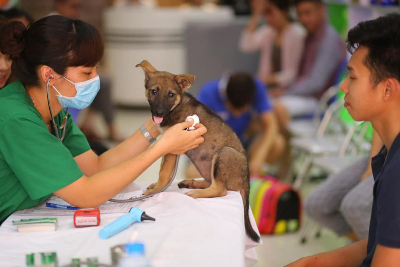 Bệnh Viện Thú Y Pethealth