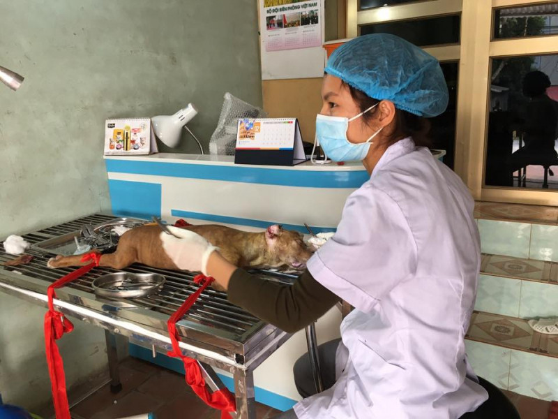 Phòng Khám Thú Y BacGiang Vet Clinic