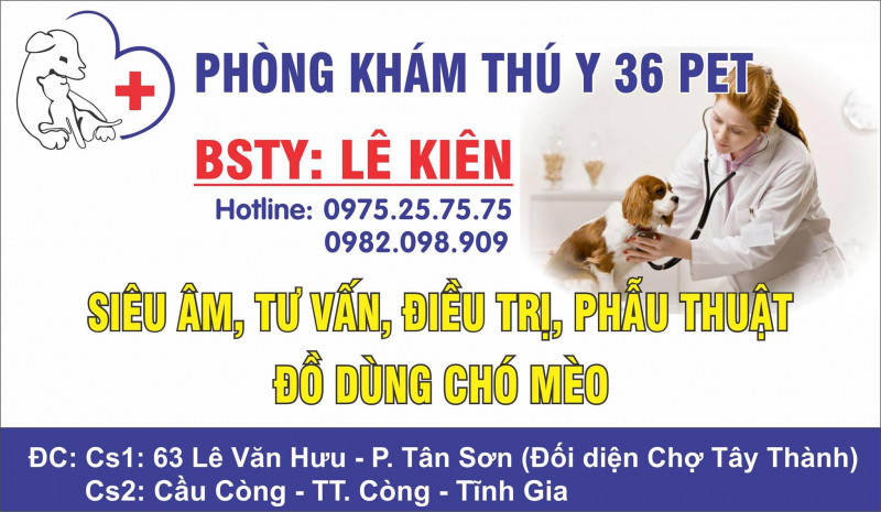 Phòng khám thú y 36 Pet