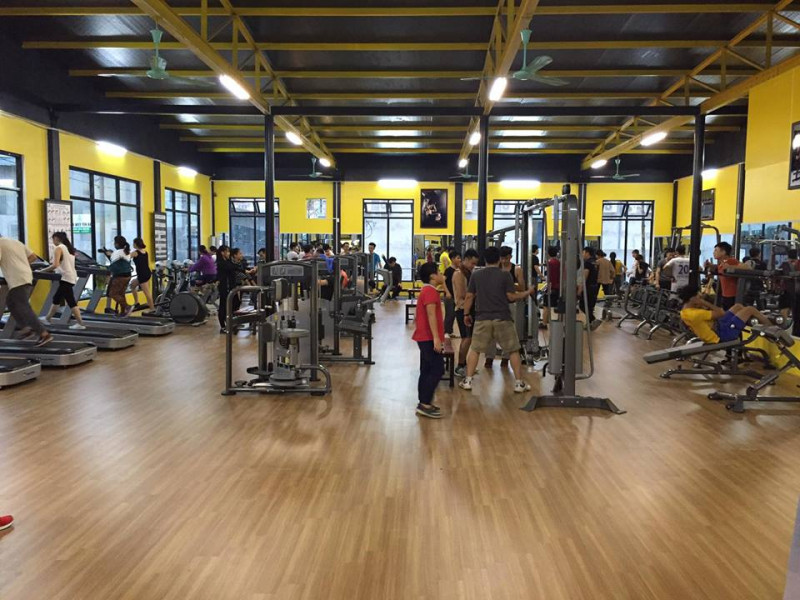 Gold Gym Club Yên Bái
