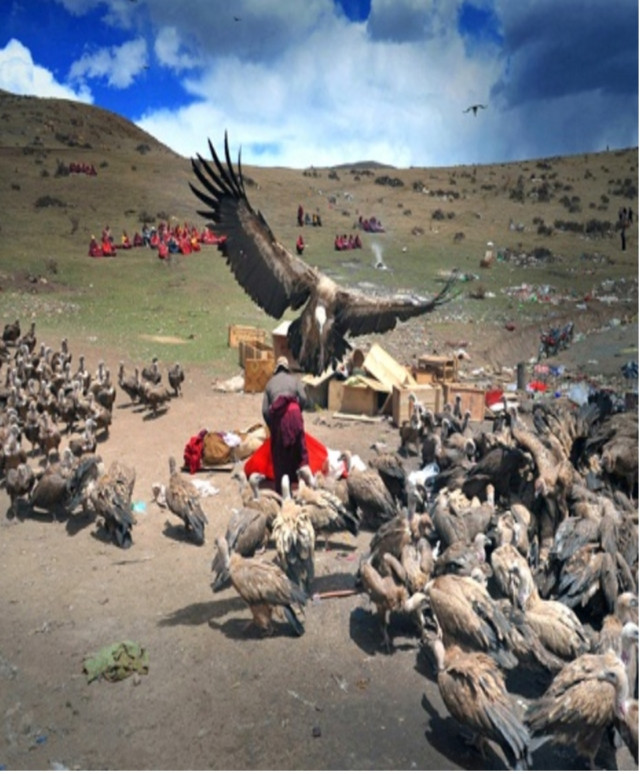 Điểu táng tại Tây Tạng