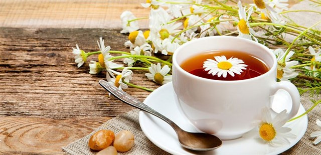Uống trà hoa cúc