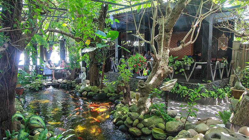 Cafe Amazon với vườn vây xanh mát và hồ cá Koi đủ màu sắc
