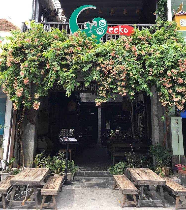 Gecko Cafe & Restaurant