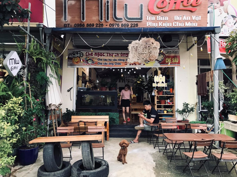 Milu Coffee nổi tiếng là thiên đường ẩm thực đồ uống tại Mộc Châu.