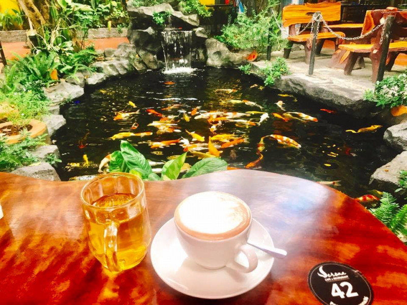 Koi Coffee