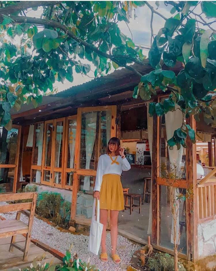 Lang Thang Cafe giống như một căn nhà nhỏ xinh xinh giữa một khu vườn xanh mát